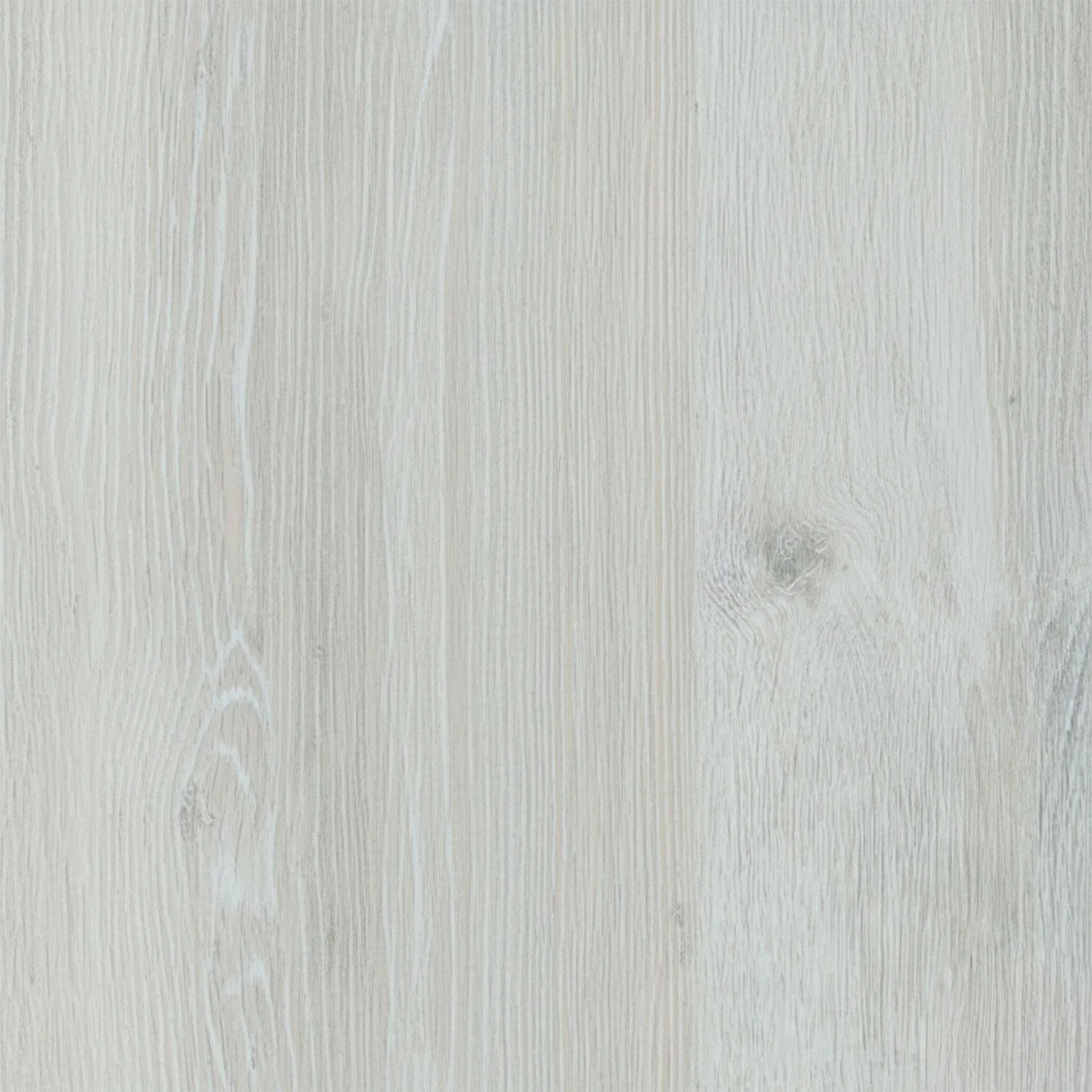 arctic oak