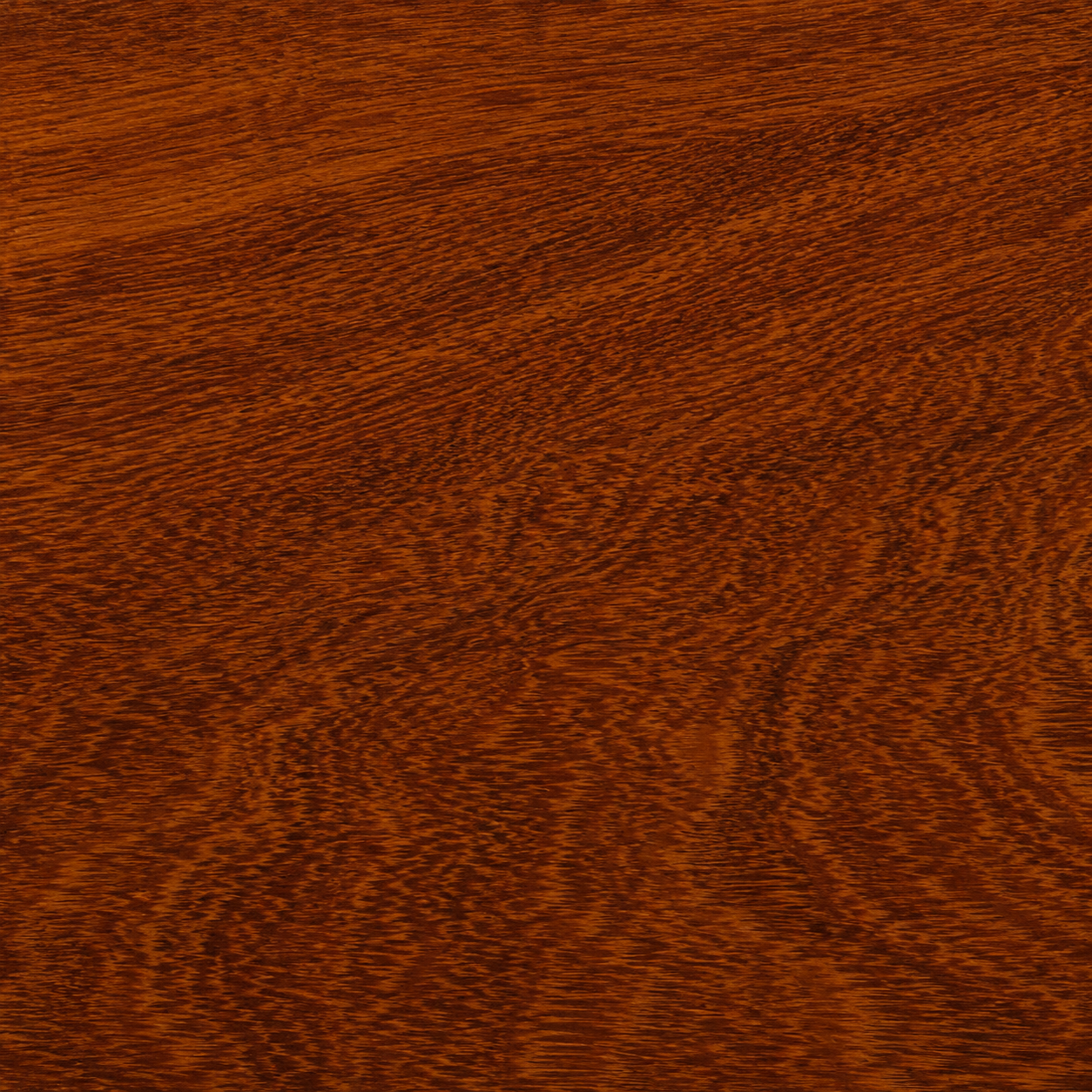 madera de machiche