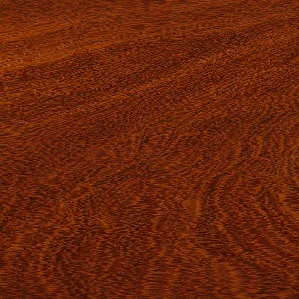 madera de machiche